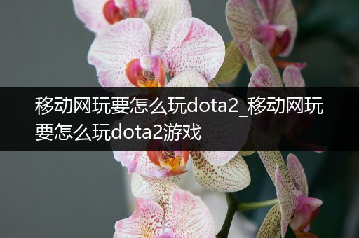 移动网玩要怎么玩dota2_移动网玩要怎么玩dota2游戏