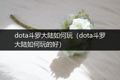 dota斗罗大陆如何玩（dota斗罗大陆如何玩的好）