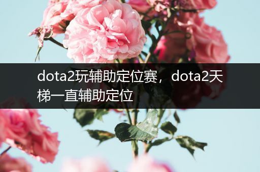 dota2玩辅助定位赛，dota2天梯一直辅助定位