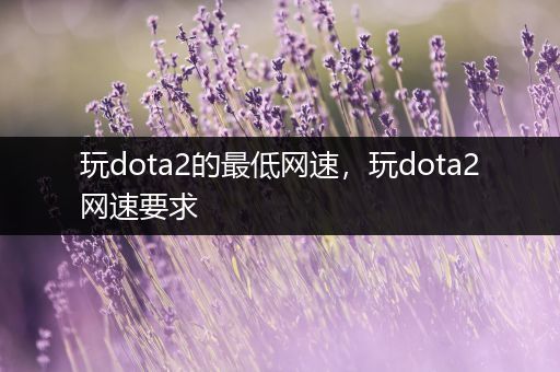 玩dota2的最低网速，玩dota2网速要求
