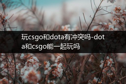 玩csgo和dota有冲突吗-dota和csgo能一起玩吗