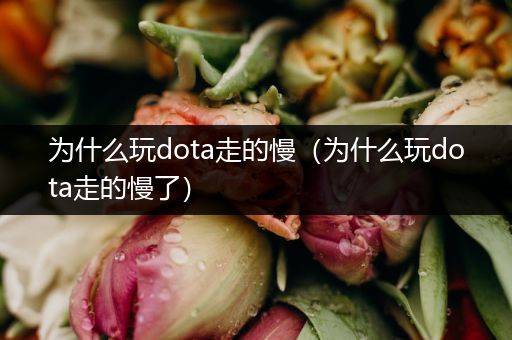 为什么玩dota走的慢（为什么玩dota走的慢了）