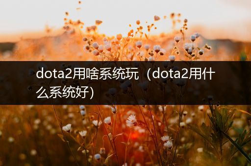 dota2用啥系统玩（dota2用什么系统好）