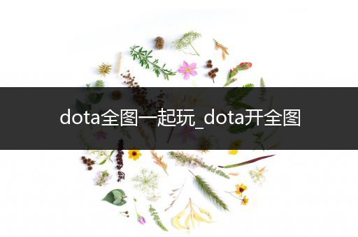 dota全图一起玩_dota开全图