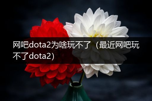 网吧dota2为啥玩不了（最近网吧玩不了dota2）