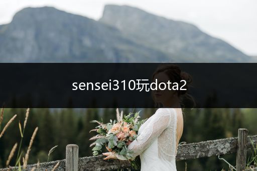 sensei310玩dota2