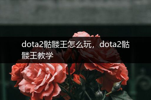 dota2骷髅王怎么玩，dota2骷髅王教学