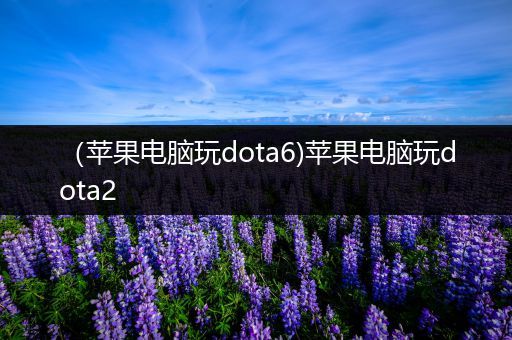 （苹果电脑玩dota6)苹果电脑玩dota2