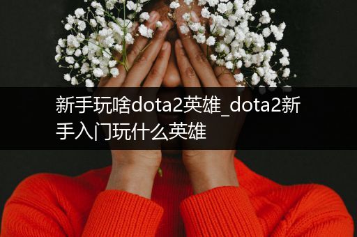 新手玩啥dota2英雄_dota2新手入门玩什么英雄