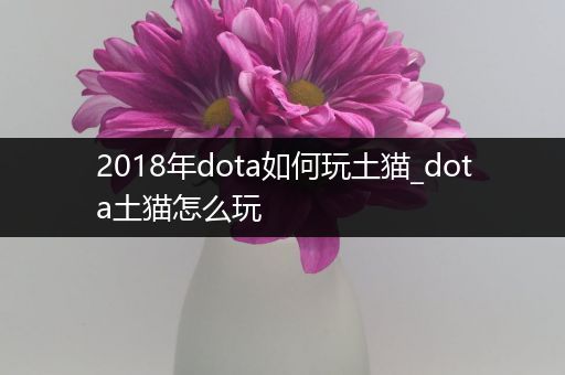 2018年dota如何玩土猫_dota土猫怎么玩