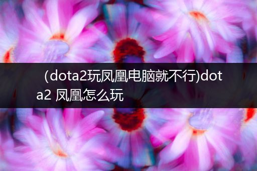 （dota2玩凤凰电脑就不行)dota2 凤凰怎么玩