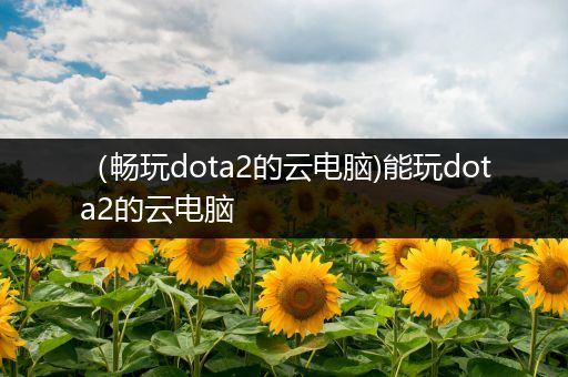 （畅玩dota2的云电脑)能玩dota2的云电脑