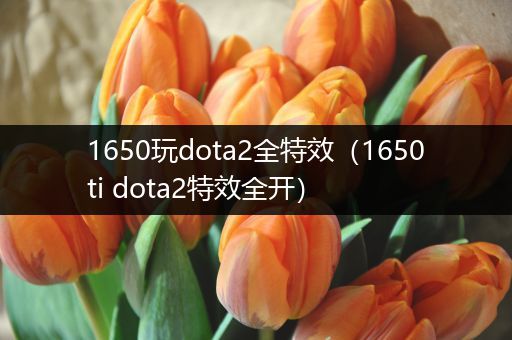 1650玩dota2全特效（1650ti dota2特效全开）