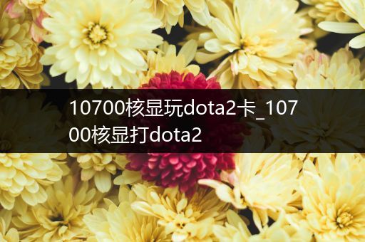 10700核显玩dota2卡_10700核显打dota2