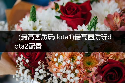 （最高画质玩dota1)最高画质玩dota2配置