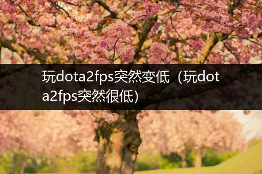 玩dota2fps突然变低（玩dota2fps突然很低）