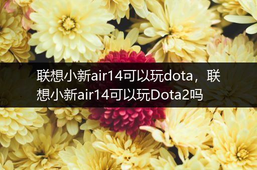 联想小新air14可以玩dota，联想小新air14可以玩Dota2吗