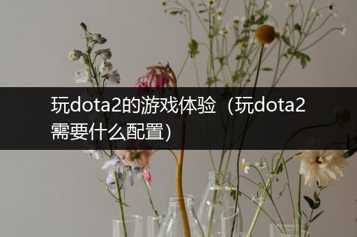 玩dota2的游戏体验（玩dota2需要什么配置）
