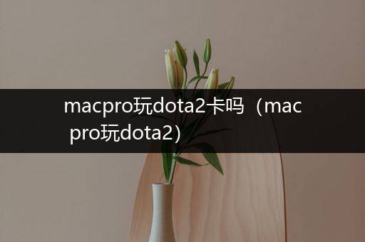 macpro玩dota2卡吗（mac pro玩dota2）