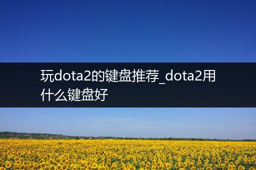 玩dota2的键盘推荐_dota2用什么键盘好