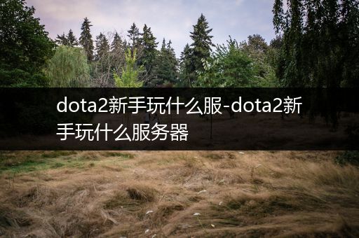 dota2新手玩什么服-dota2新手玩什么服务器