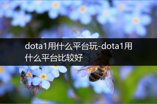 dota1用什么平台玩-dota1用什么平台比较好