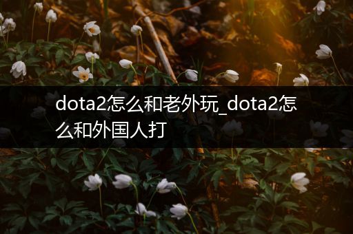 dota2怎么和老外玩_dota2怎么和外国人打