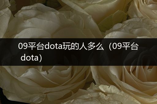 09平台dota玩的人多么（09平台 dota）