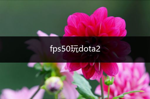 fps50玩dota2