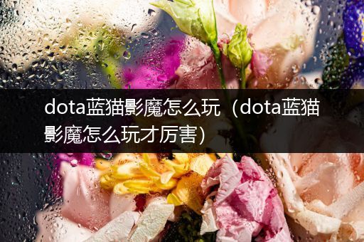 dota蓝猫影魔怎么玩（dota蓝猫影魔怎么玩才厉害）