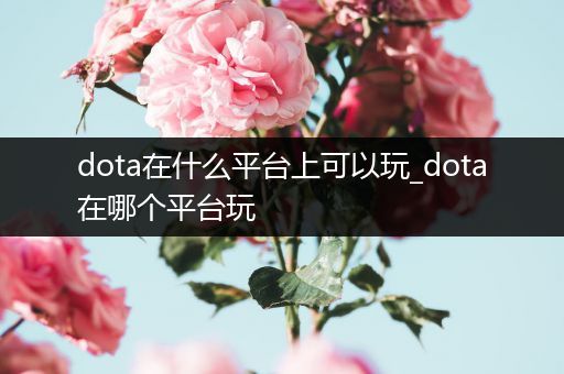dota在什么平台上可以玩_dota在哪个平台玩