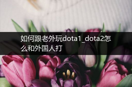 如何跟老外玩dota1_dota2怎么和外国人打