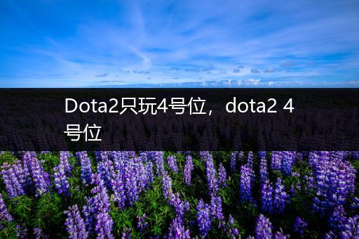 Dota2只玩4号位，dota2 4号位