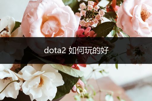 dota2 如何玩的好