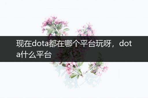 现在dota都在哪个平台玩呀，dota什么平台