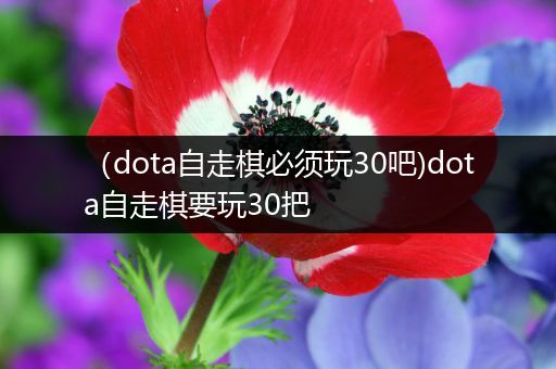 （dota自走棋必须玩30吧)dota自走棋要玩30把