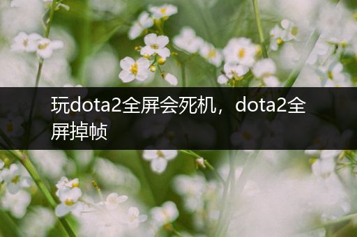 玩dota2全屏会死机，dota2全屏掉帧