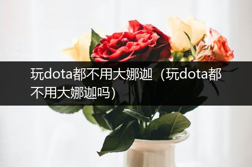 玩dota都不用大娜迦（玩dota都不用大娜迦吗）