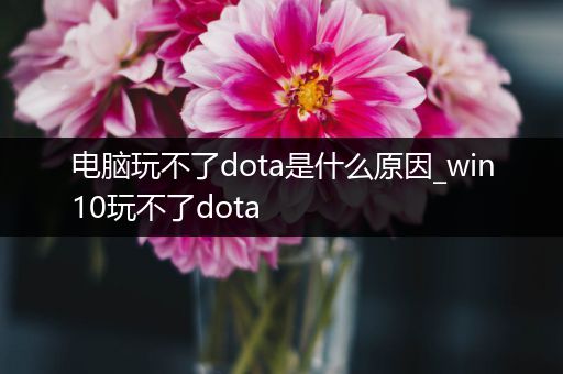 电脑玩不了dota是什么原因_win10玩不了dota