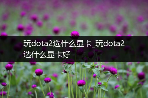 玩dota2选什么显卡_玩dota2选什么显卡好
