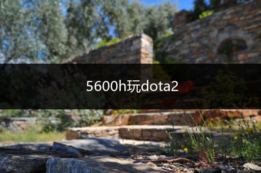 5600h玩dota2