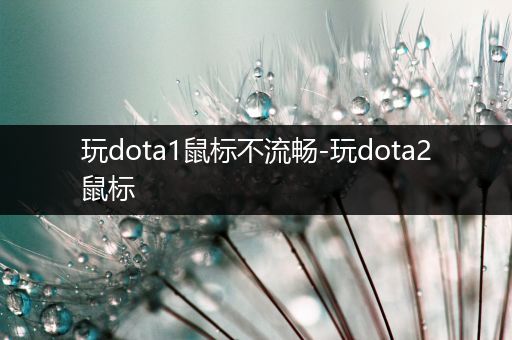 玩dota1鼠标不流畅-玩dota2鼠标