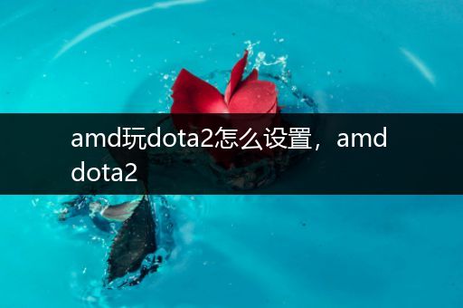 amd玩dota2怎么设置，amd dota2