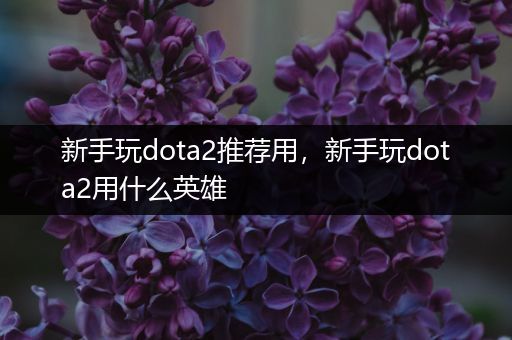 新手玩dota2推荐用，新手玩dota2用什么英雄