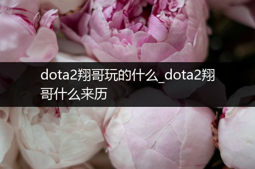 dota2翔哥玩的什么_dota2翔哥什么来历