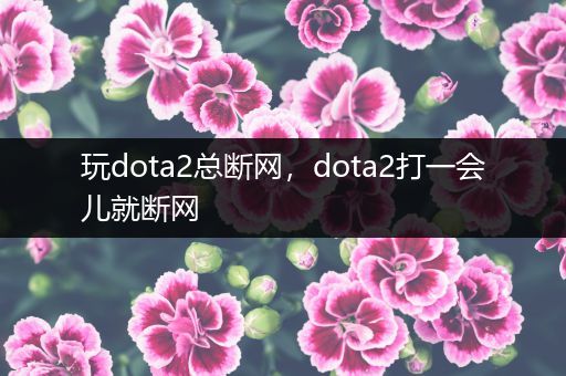 玩dota2总断网，dota2打一会儿就断网