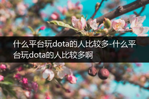 什么平台玩dota的人比较多-什么平台玩dota的人比较多啊