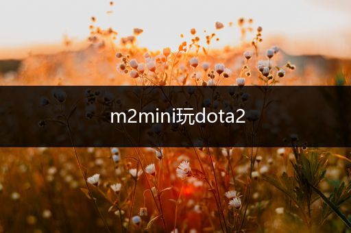 m2mini玩dota2