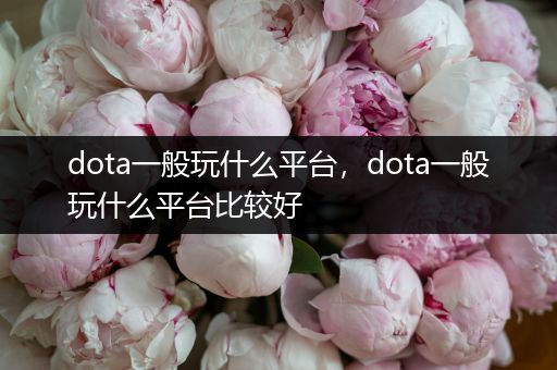 dota一般玩什么平台，dota一般玩什么平台比较好