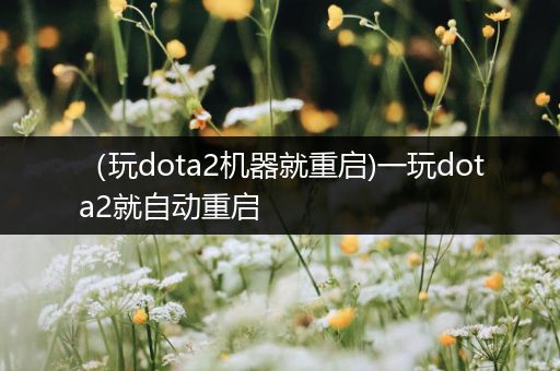 （玩dota2机器就重启)一玩dota2就自动重启